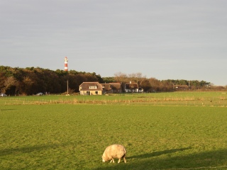 Ballum on Ameland