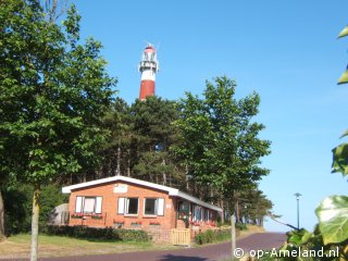 Kievit bij de vuurtoren, Golfing on Ameland