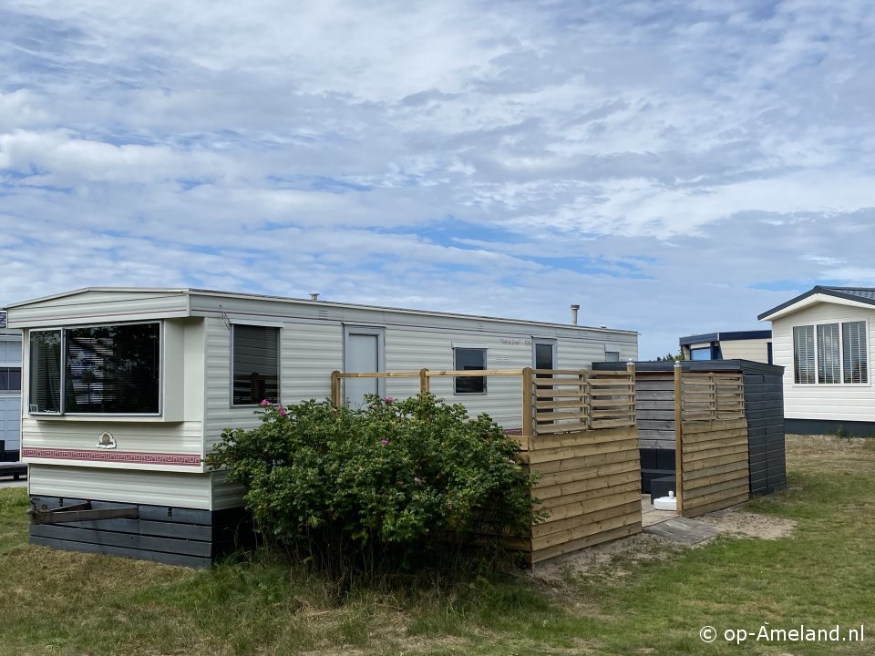 Bonte strandloper, 25+ Caravans on Ameland