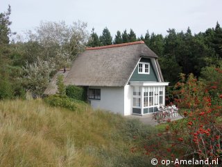 Blauwe Distel, Ballum on Ameland