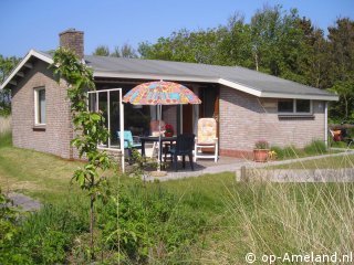 Cranberry, Ballum on Ameland