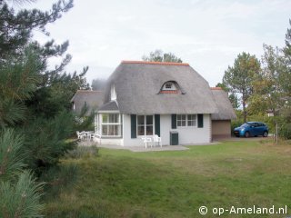 Poolster, Ballum on Ameland