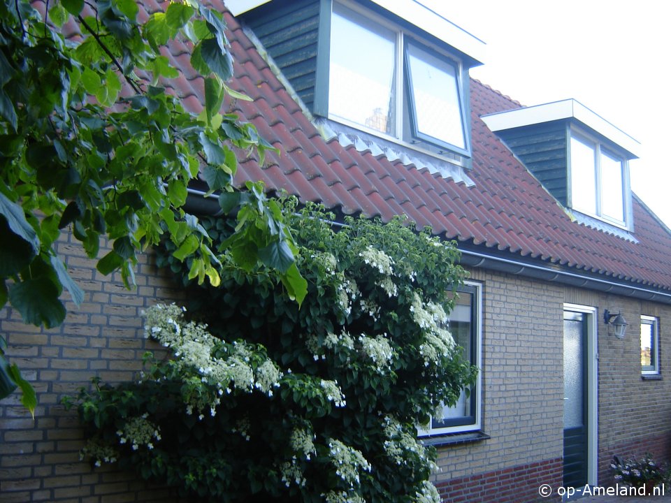 Huize de Linde, Holiday home on Ameland for 4 persons