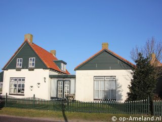 Koebloemke, Buren on Ameland