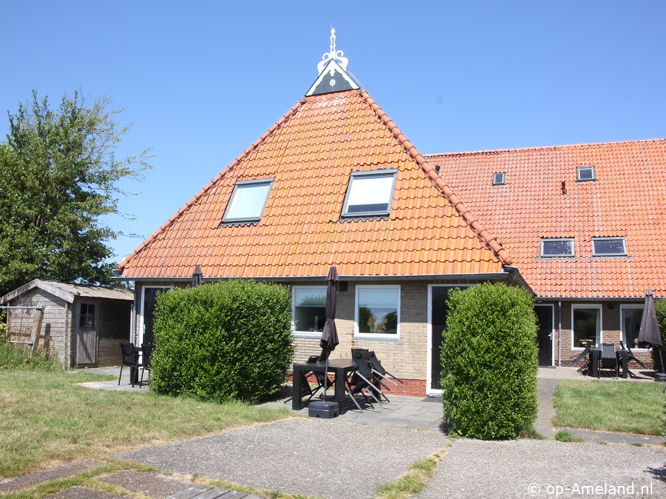 Ballumerhoeve, Tree, Ballum on Ameland