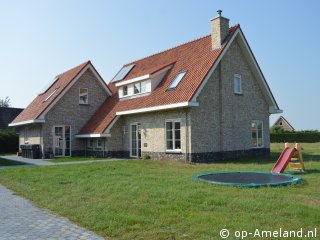 Waddengoud, Buren on Ameland