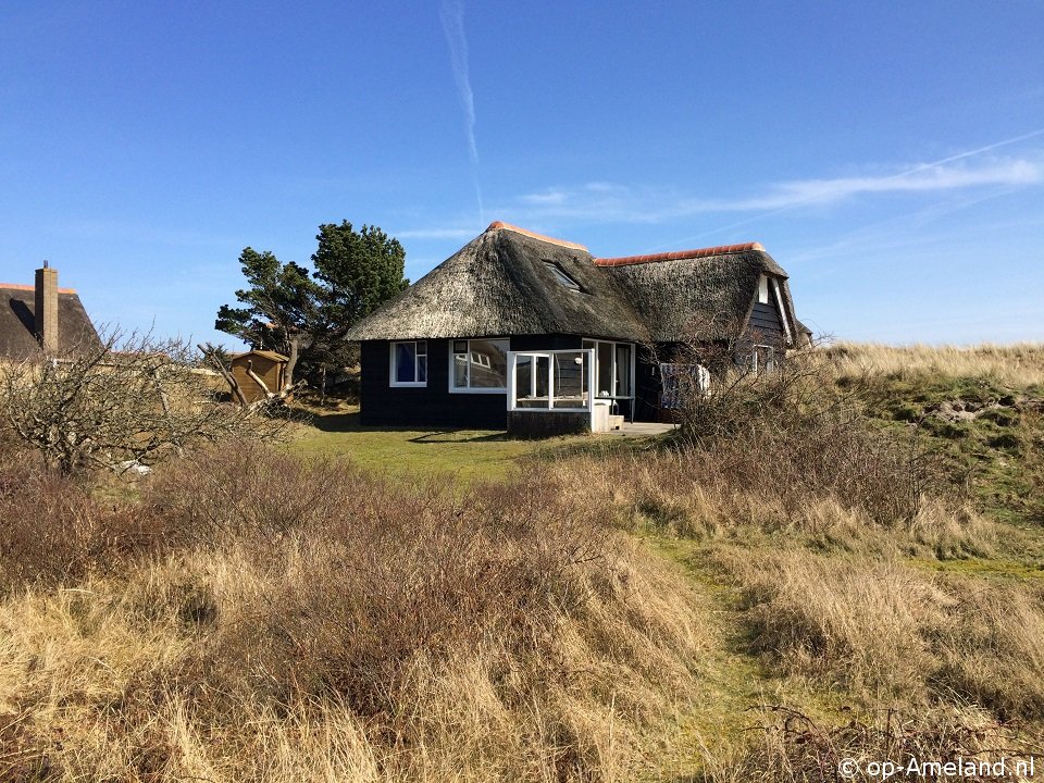 Aurora, Holiday homes on Ameland