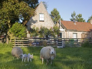 Beppe van Ameland, Holiday home on Ameland for 4 persons