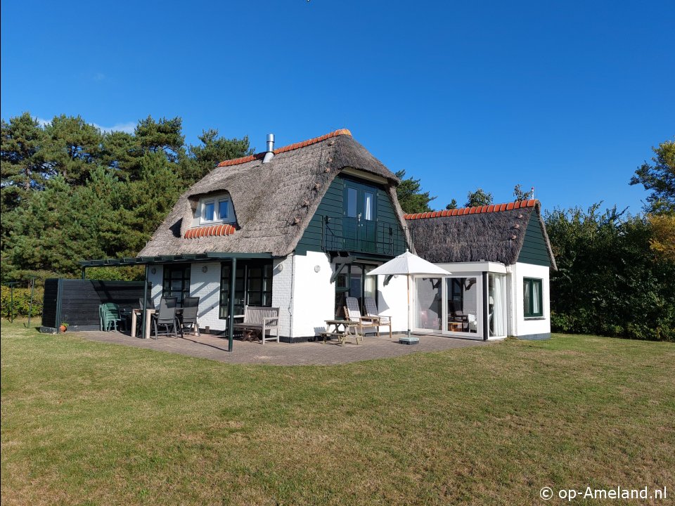 Carex, Holiday homes on Ameland