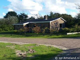 Distelvink, Ballum on Ameland