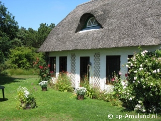 Elzenhof, Holiday homes on Ameland