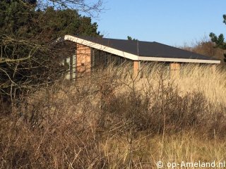 Hoogtij, Buren on Ameland