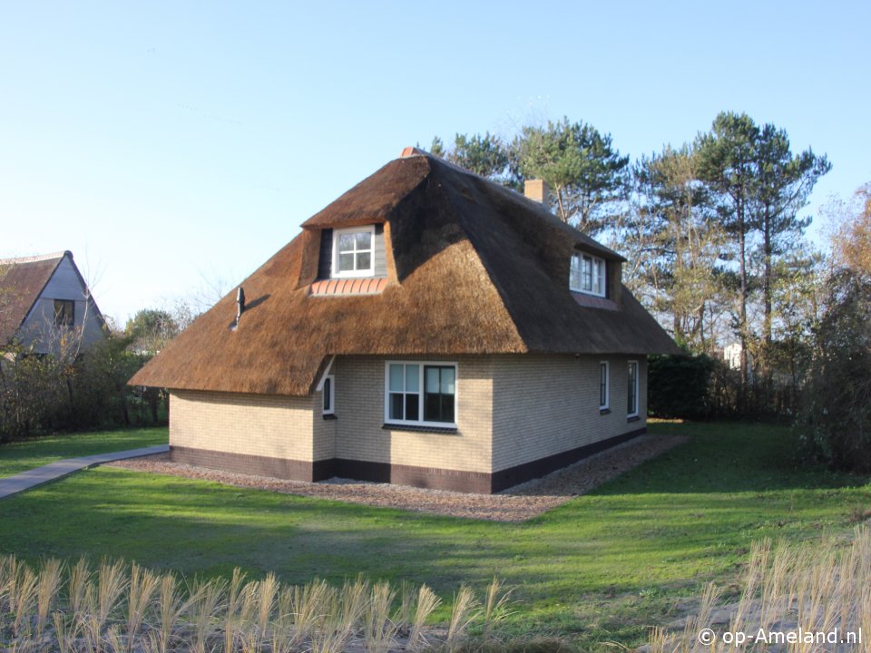 Kattedoorn, Ballum on Ameland