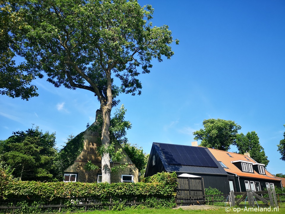 Lanterfant, Holiday home on Ameland for 4 persons