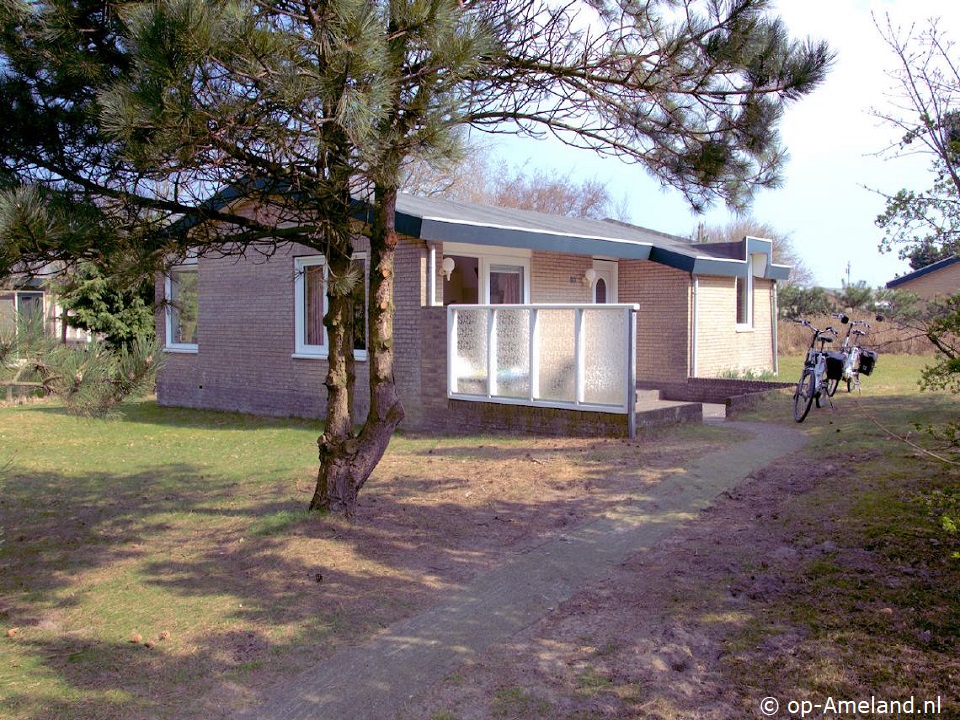 Michelle, Holiday home on Ameland for 6 persons