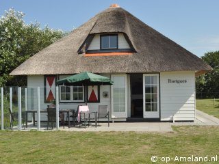 Rietgors, Holiday cottages with sauna on Ameland