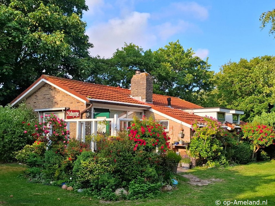 Robijntje, Hollum on Ameland