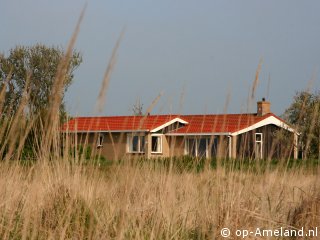 Skutehon, Hollum on Ameland