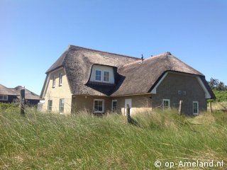 Tieuwen, Holiday cottages with sauna on Ameland