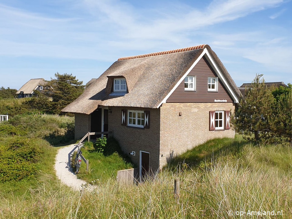 Waddenschelp, Nes on Ameland