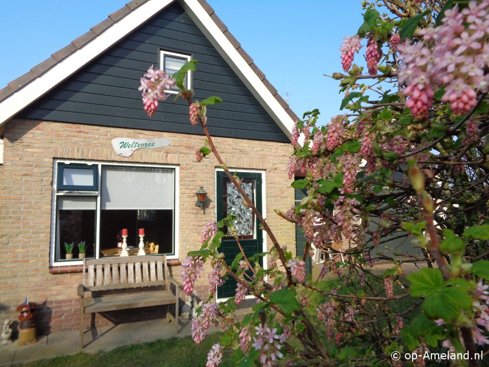 Weltevree, Holiday home on Ameland for 4 persons